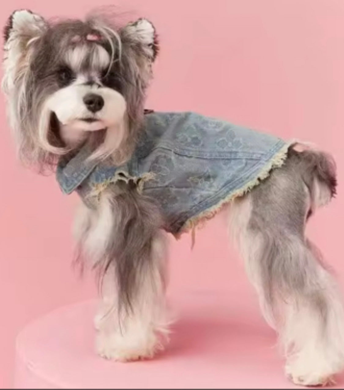 Lou Lou Denim Vest