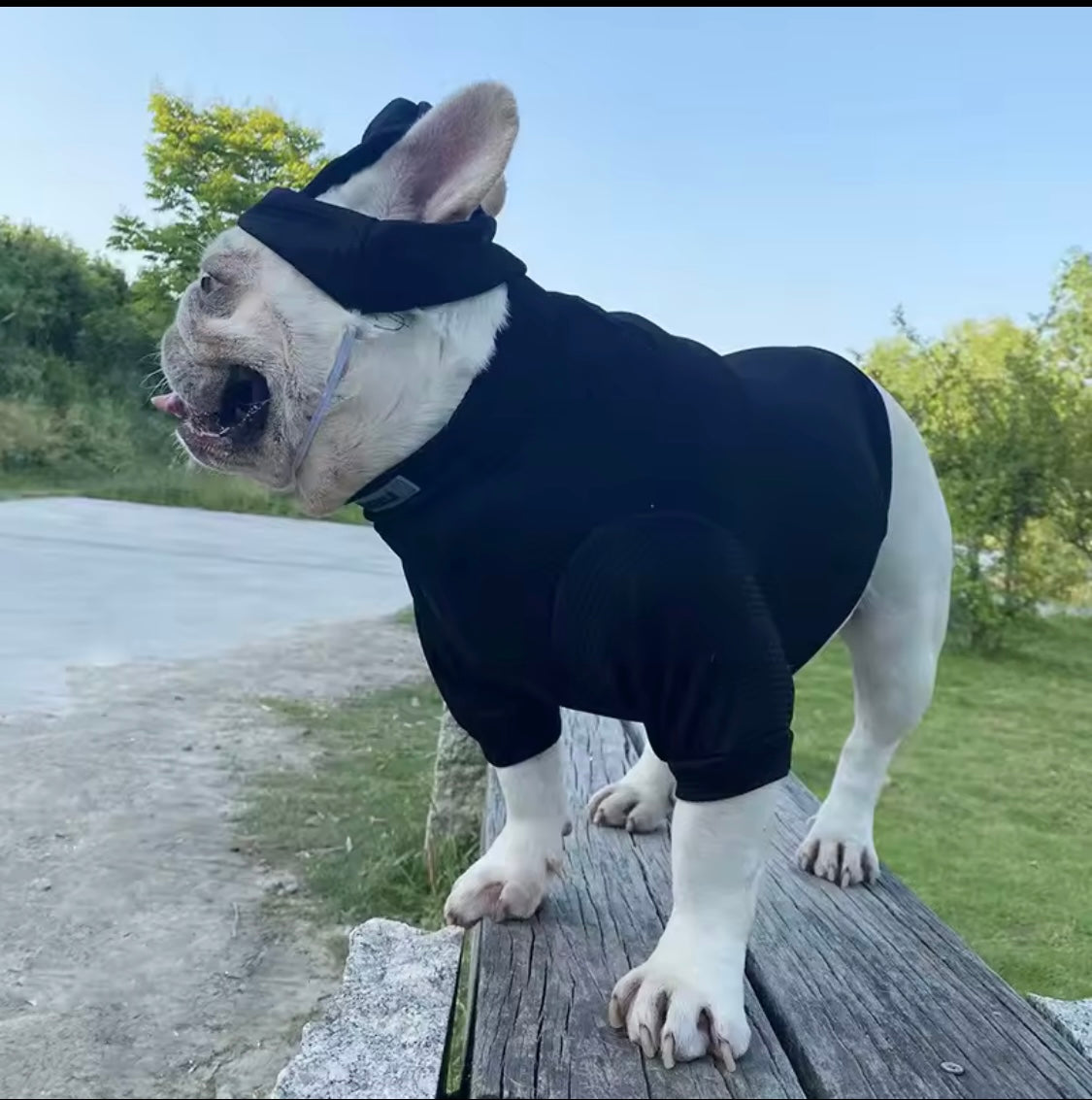 Chillin’