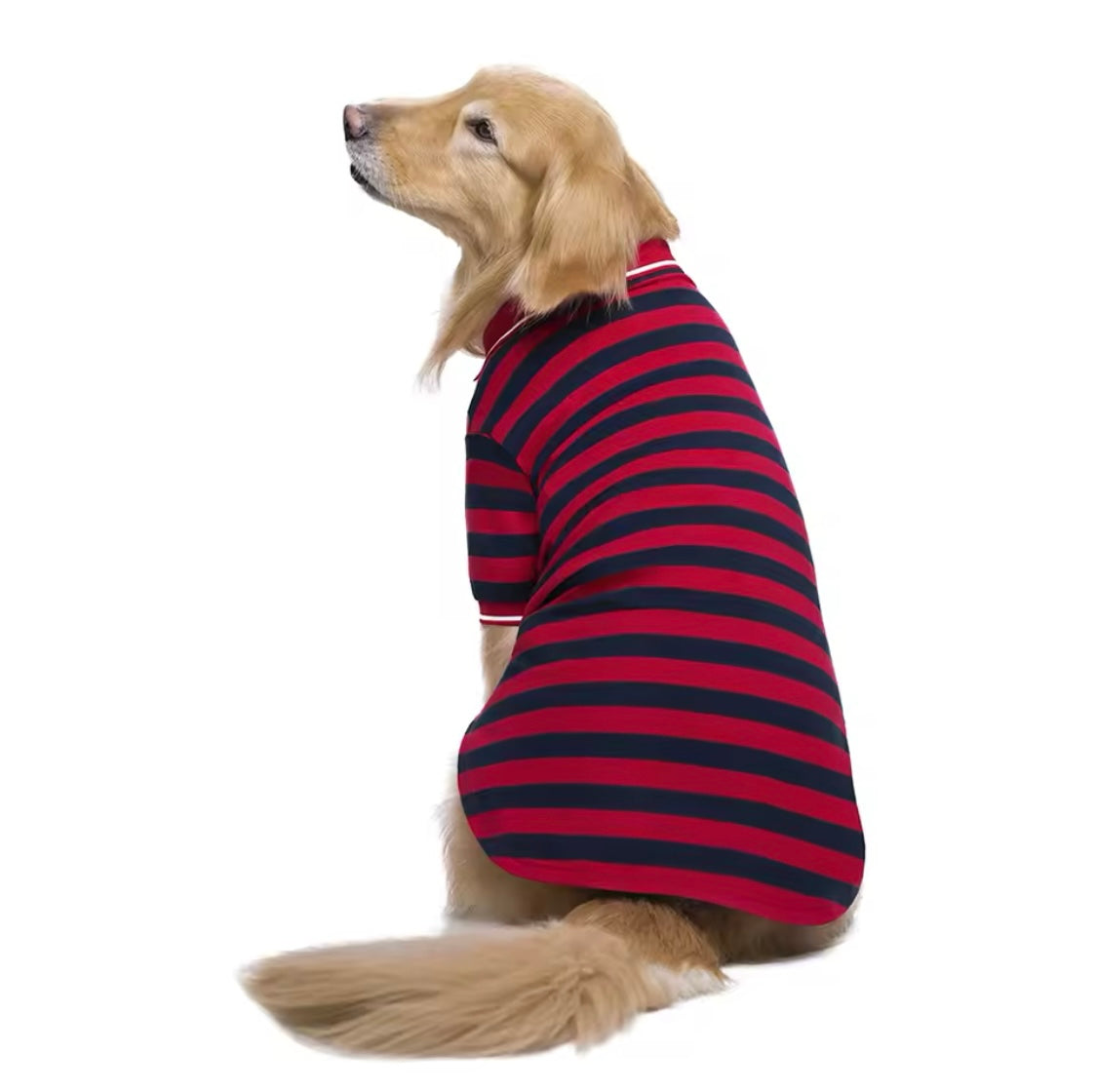 No Stars, Just Stripes