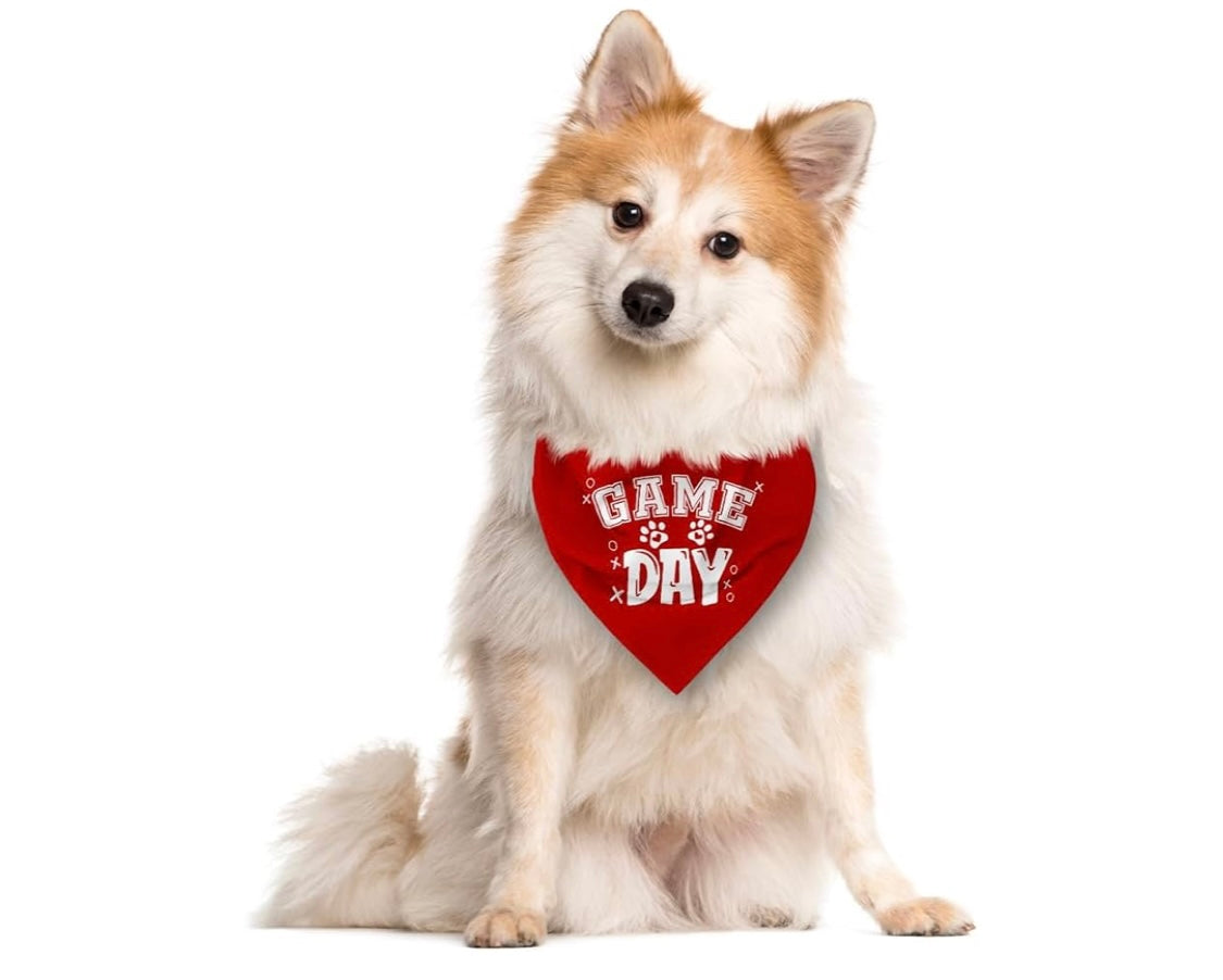 Game Day Bandana