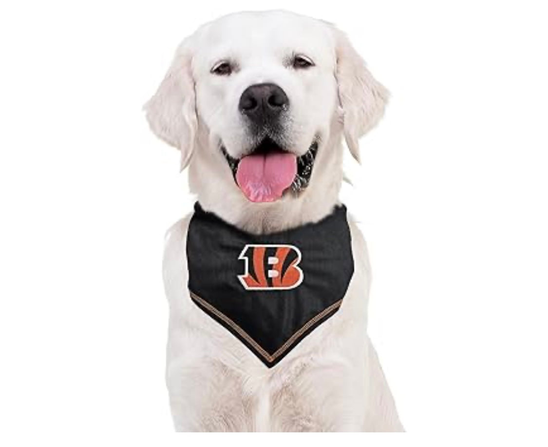 Football FurNatics