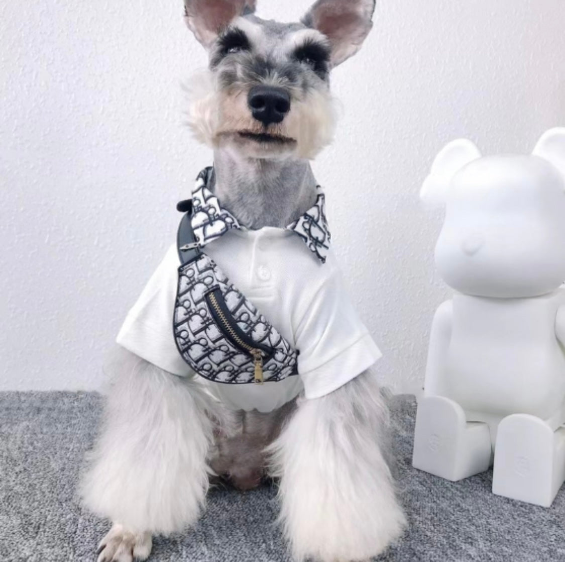 Pawdior Colour