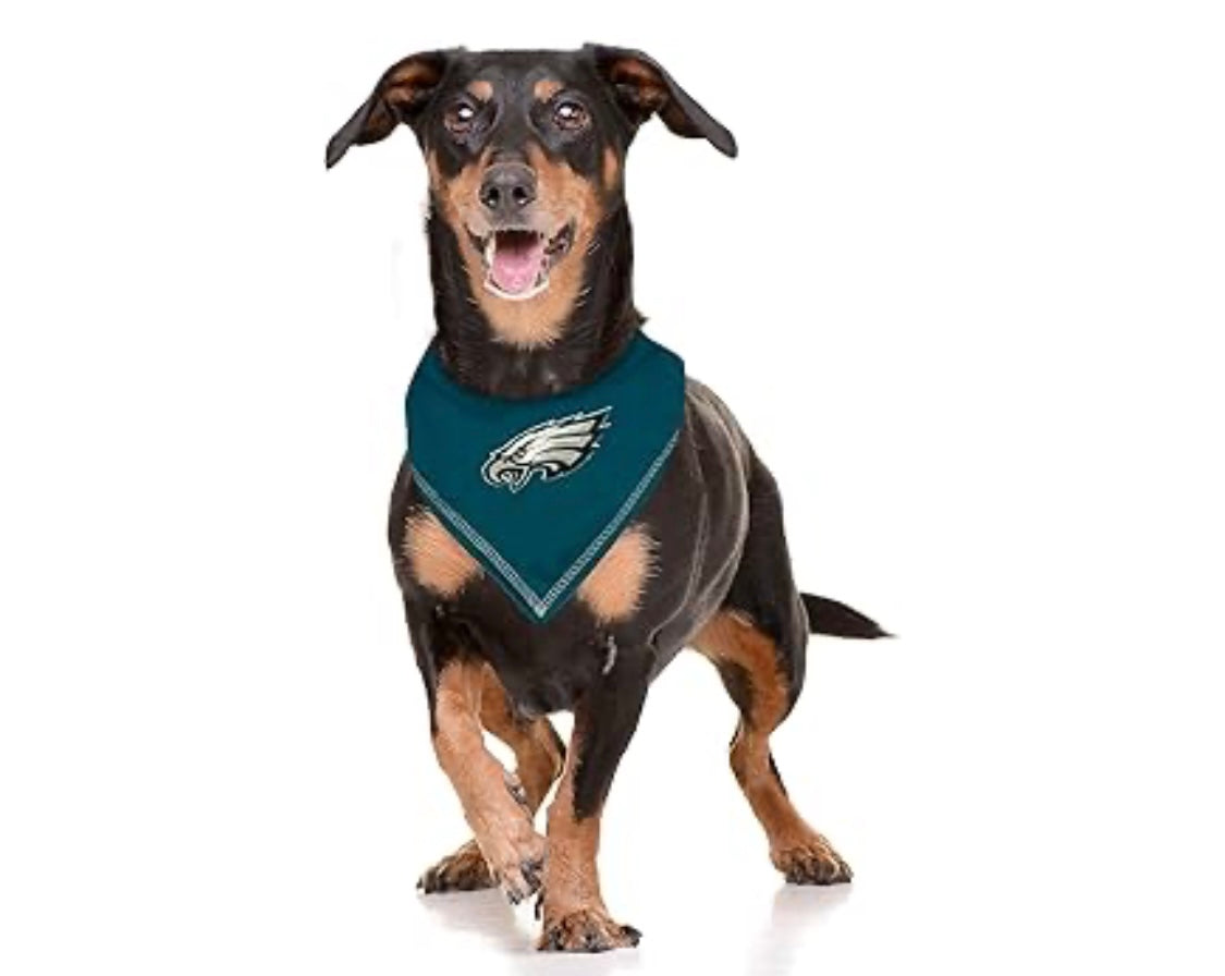 Football FurNatics
