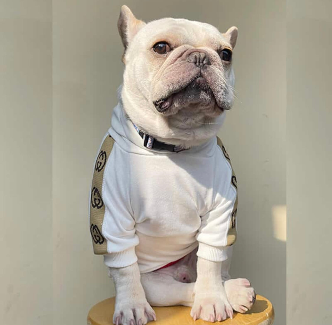 Pucci Hoodie