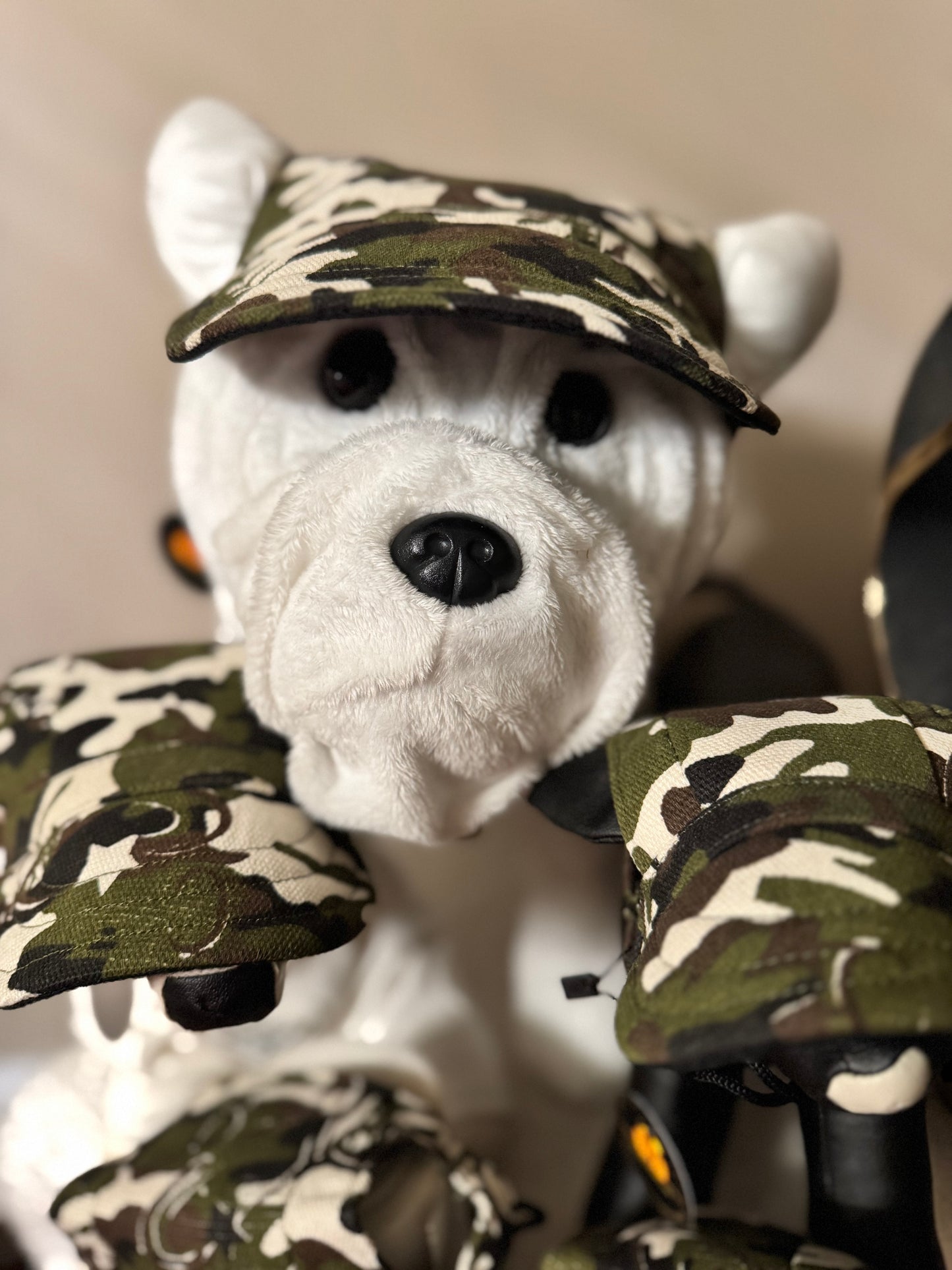 No Limit Soldier