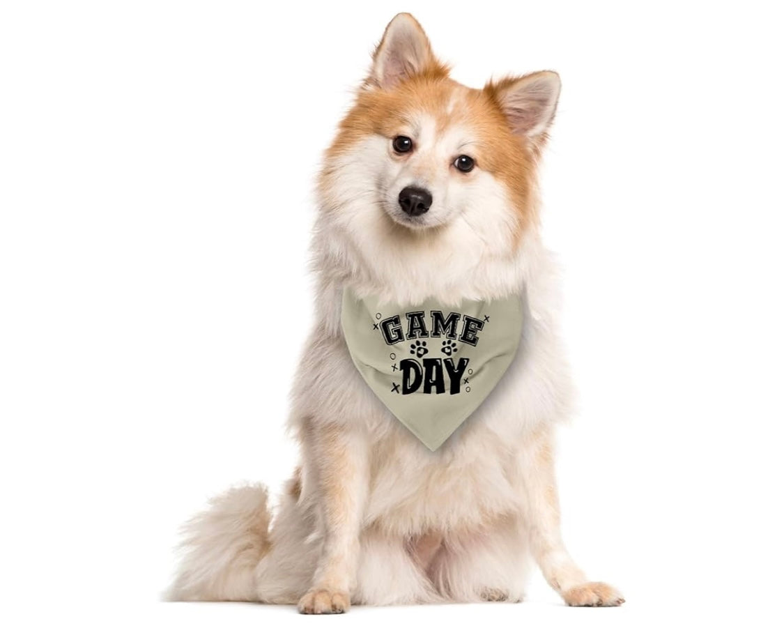 Game Day Bandana