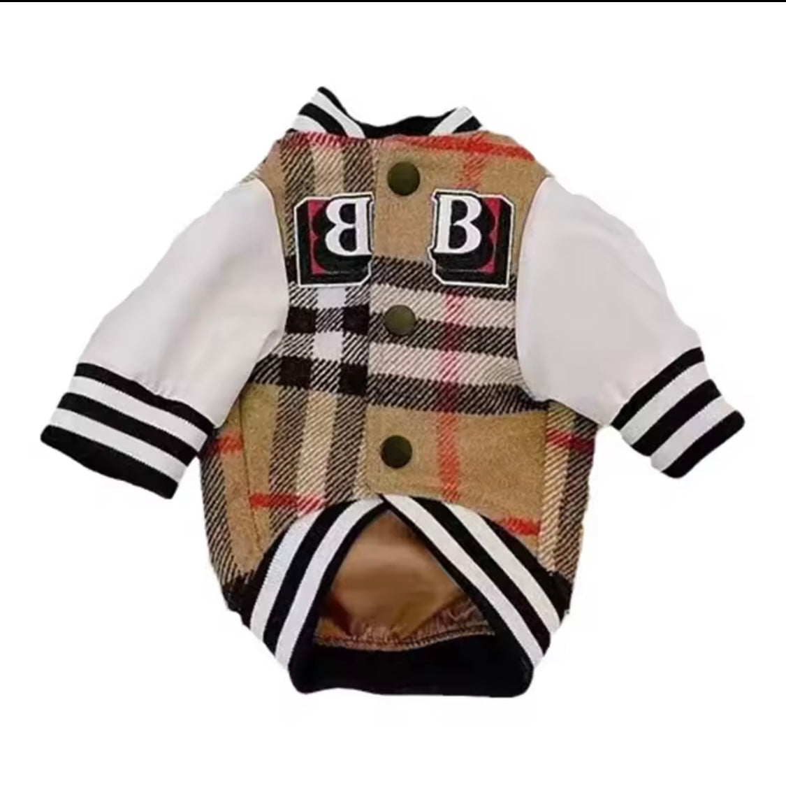Barkberry Letterman Jacket