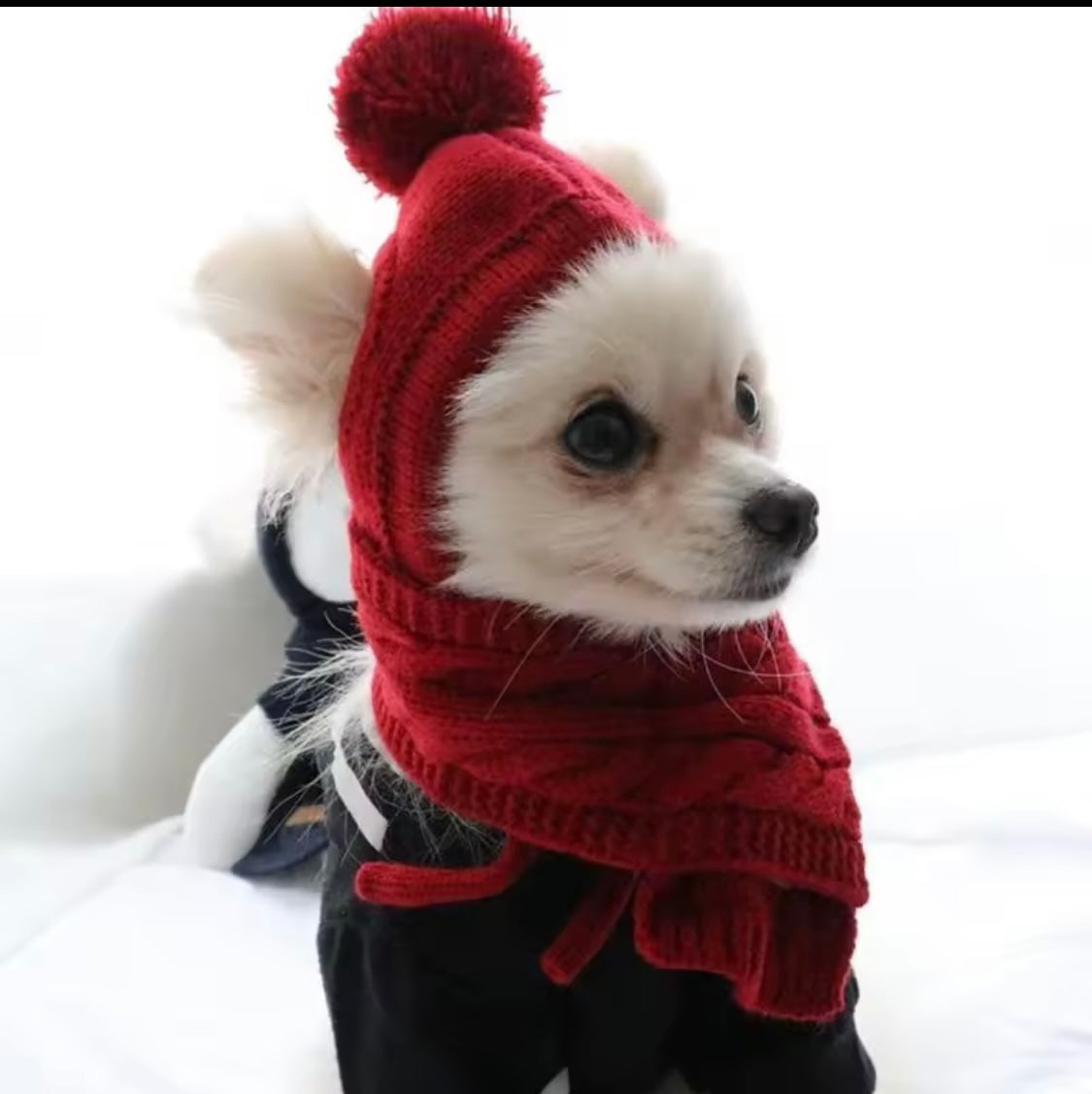 Cozy