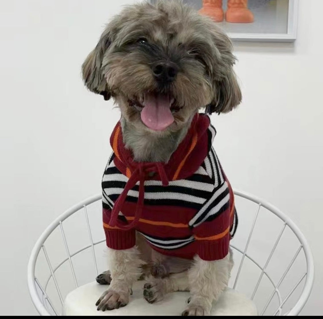 Barkberry B Hoodie
