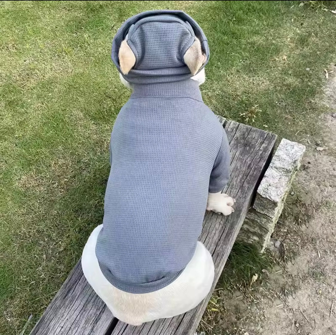 Chillin’