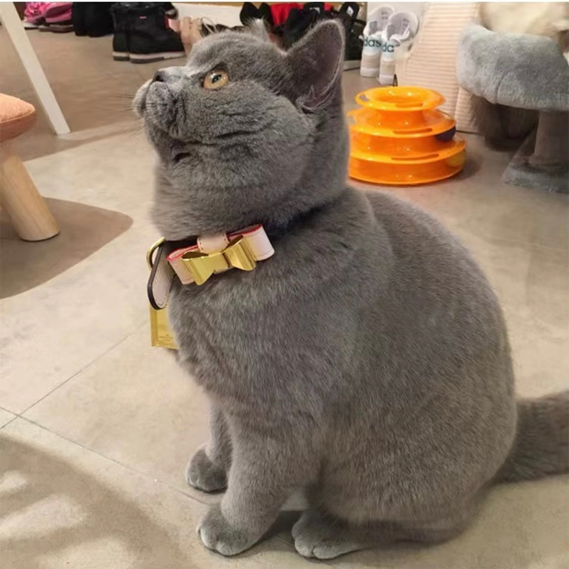 Lux Bow Tie Collar/Leash Set
