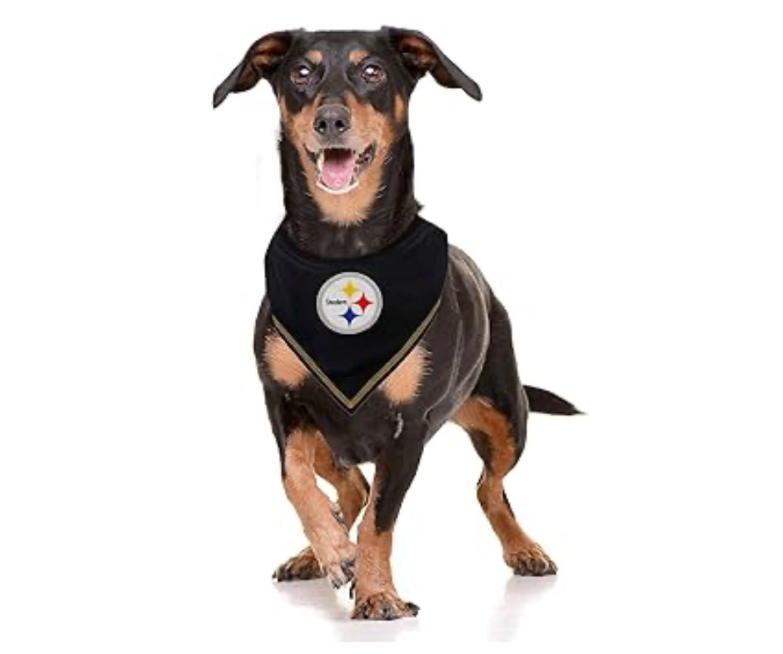 Football FurNatics