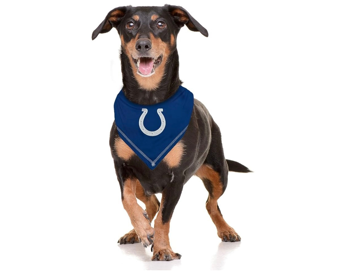 Football FurNatics