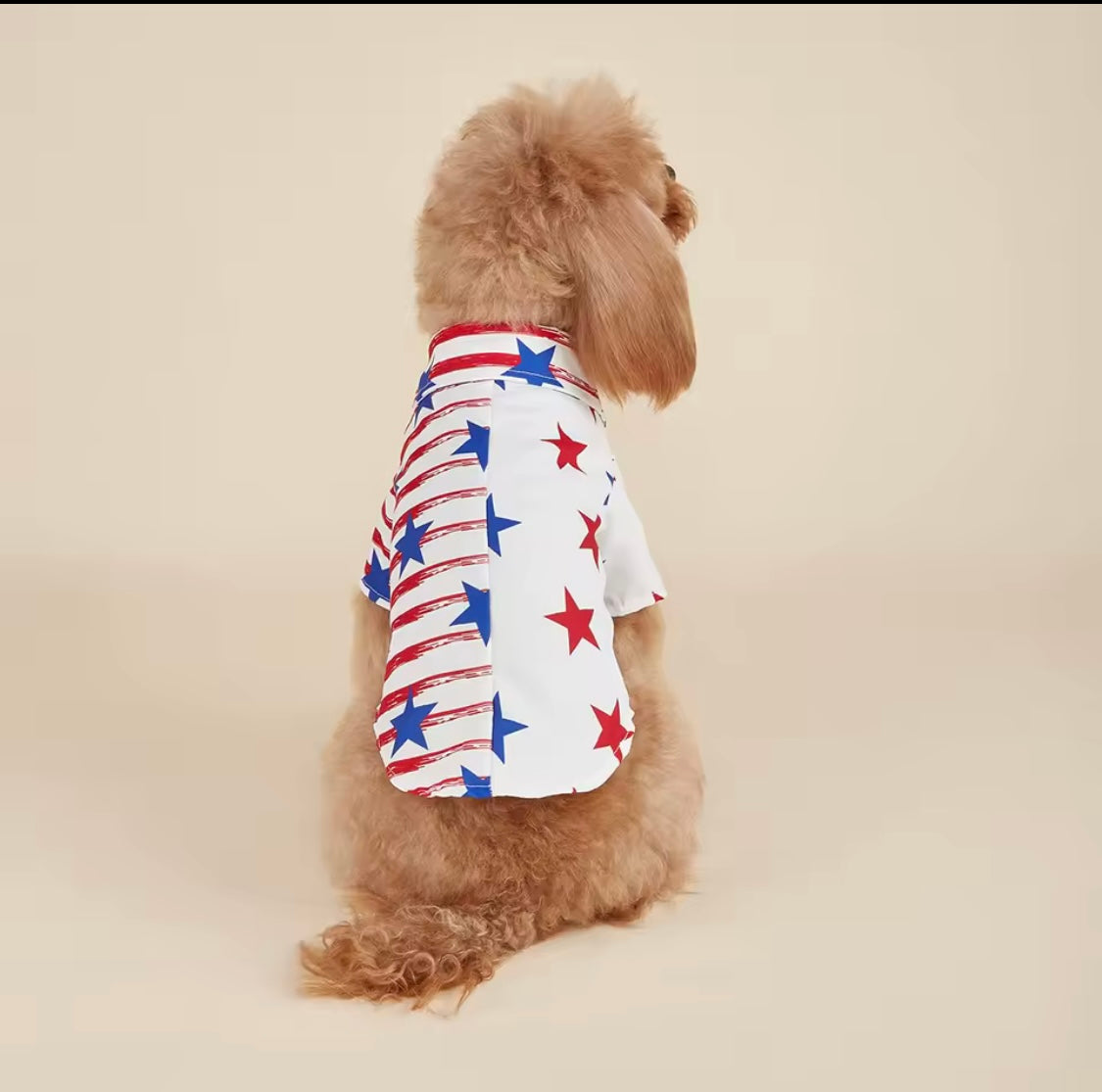 America