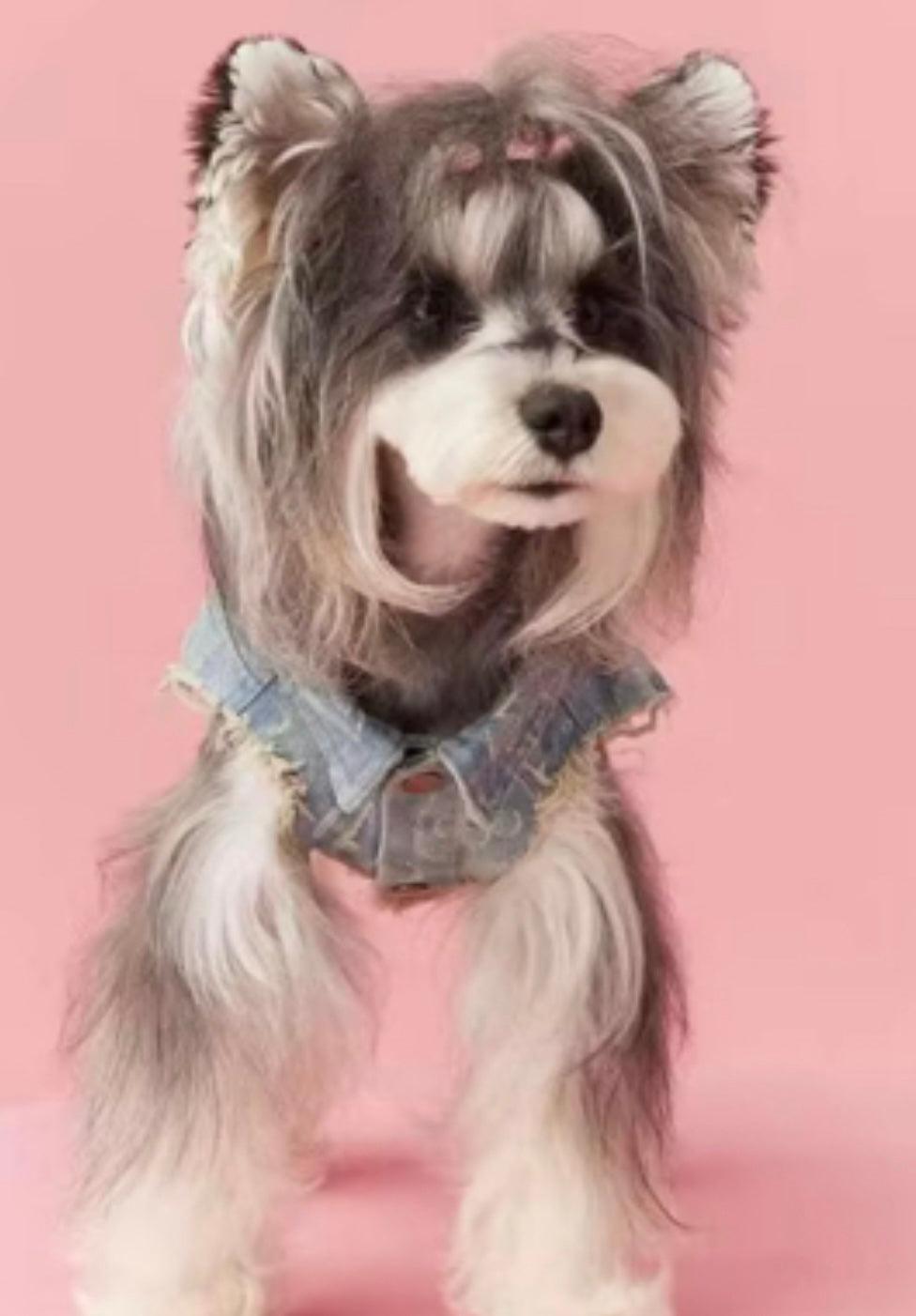 Lou Lou Denim Vest