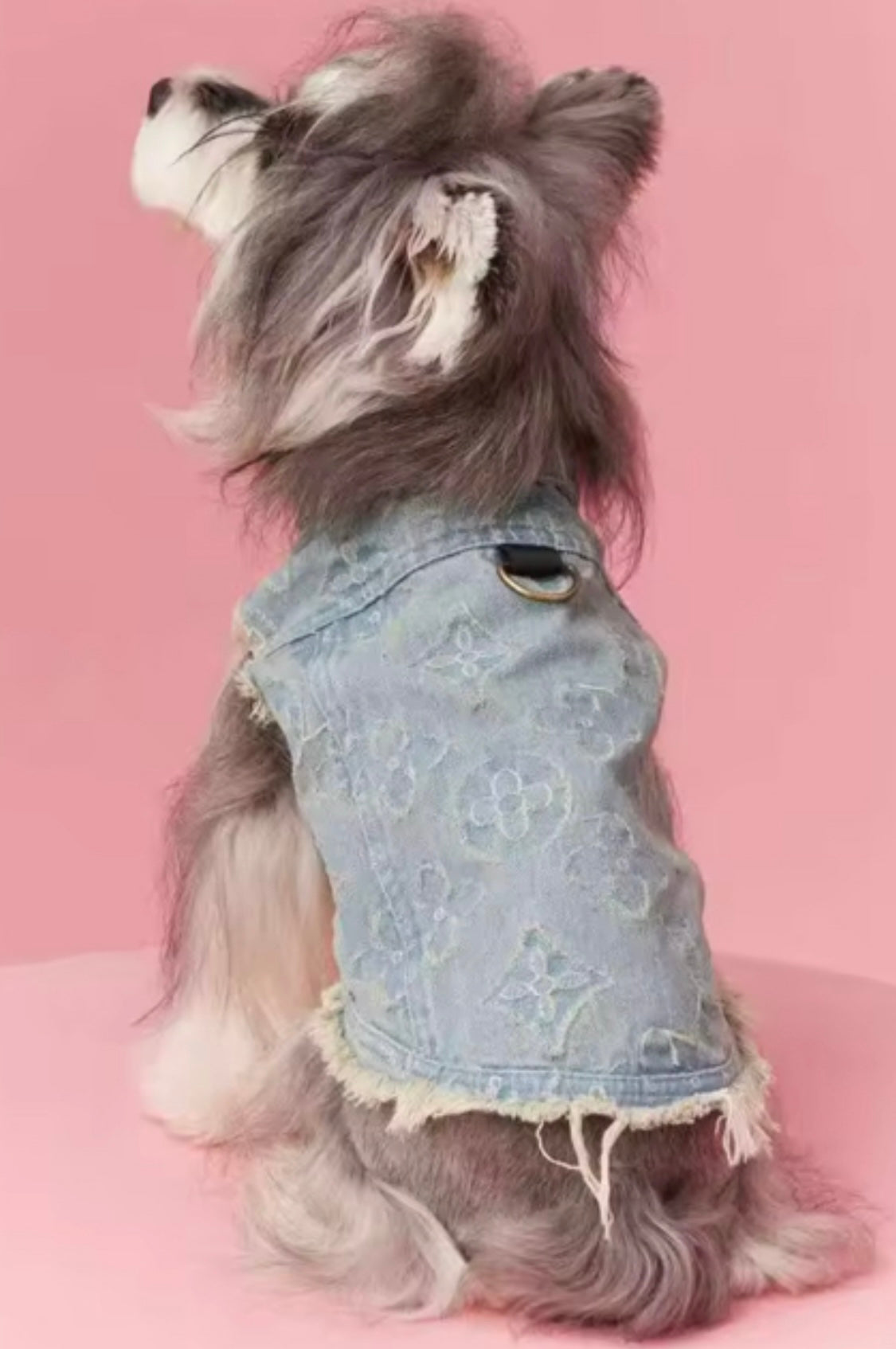 Lou Lou Denim Vest