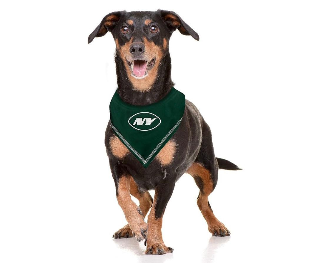 Football FurNatics