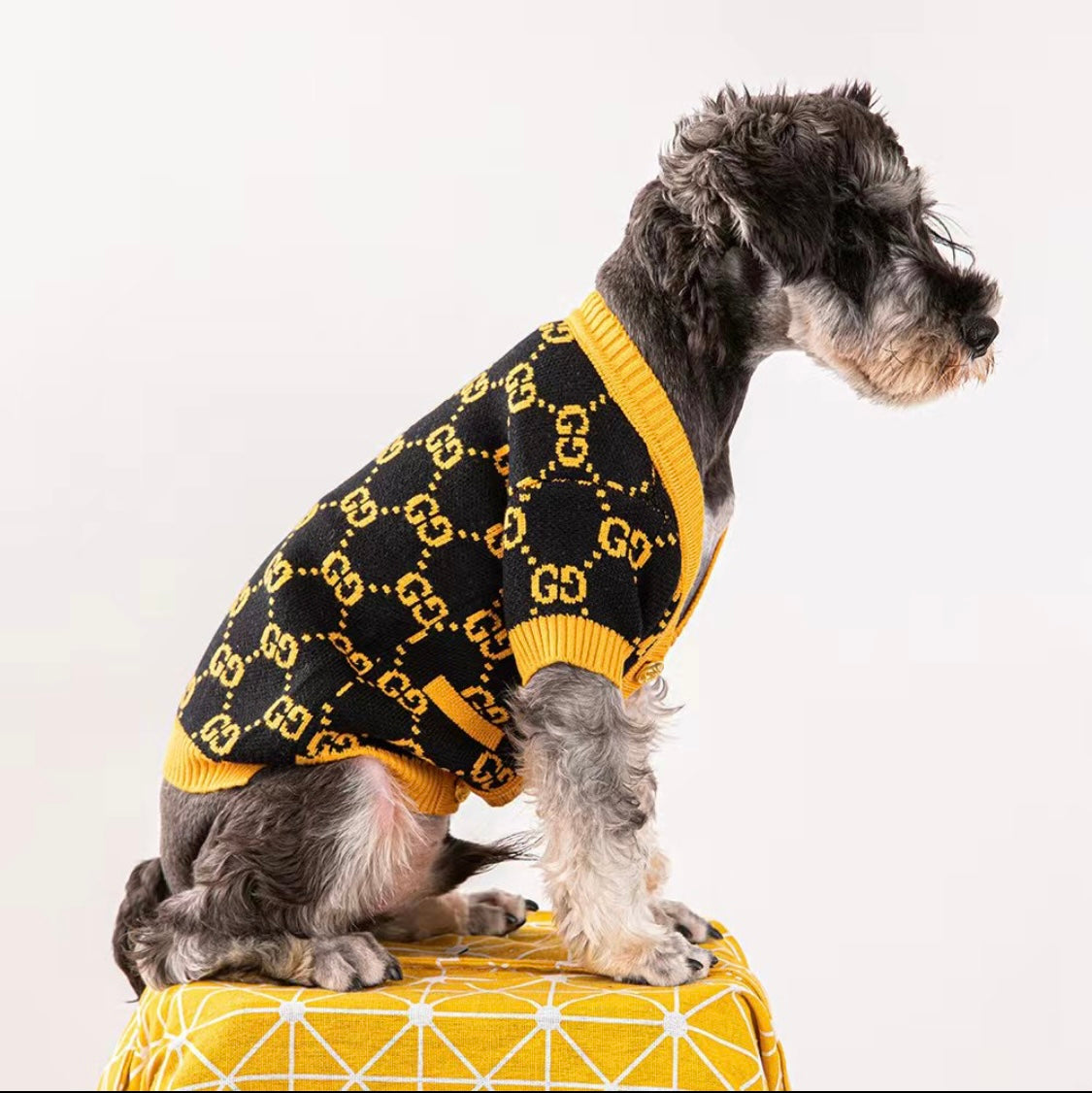 Pucci Cardigan