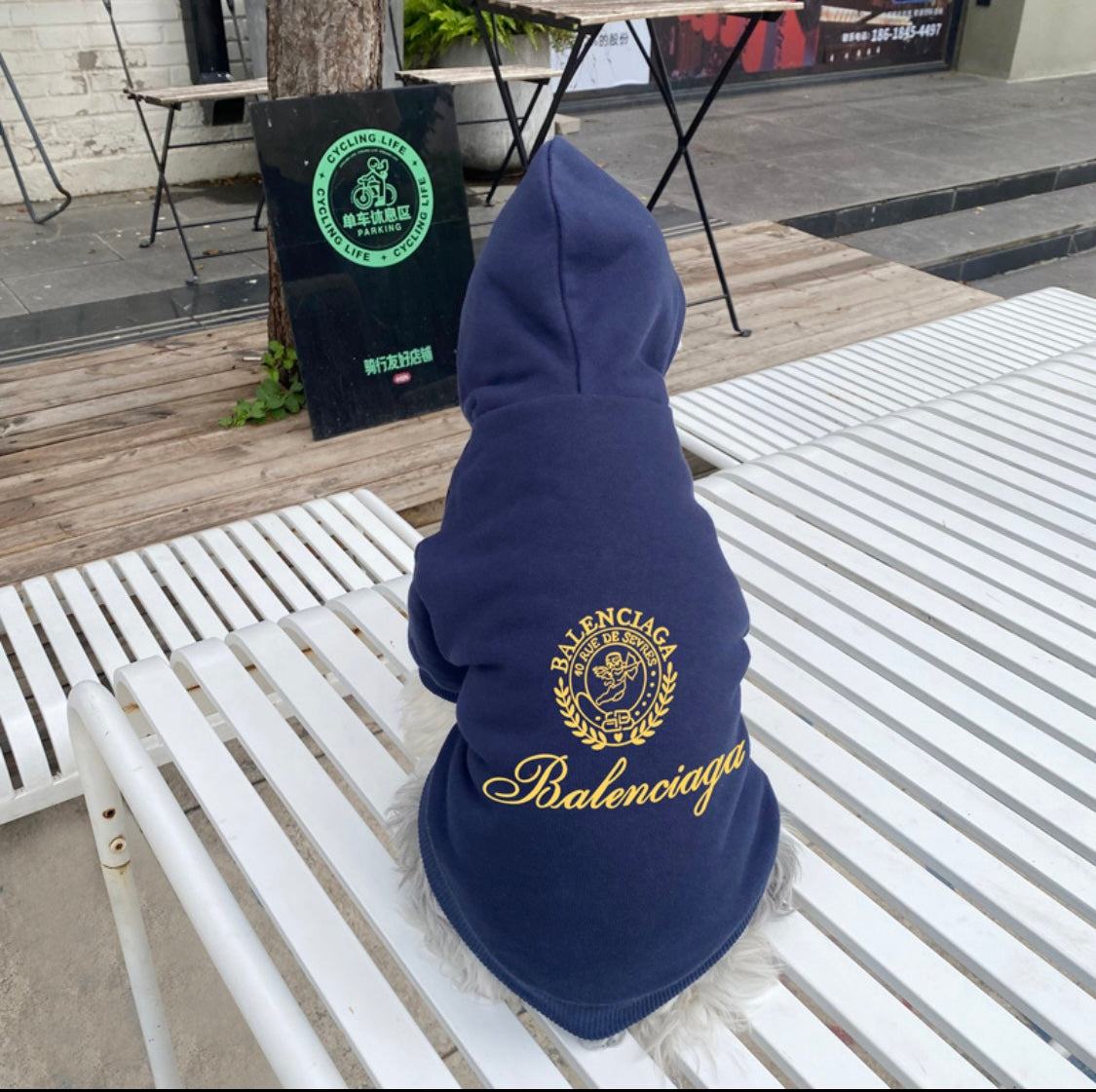 B Boy Hoodie