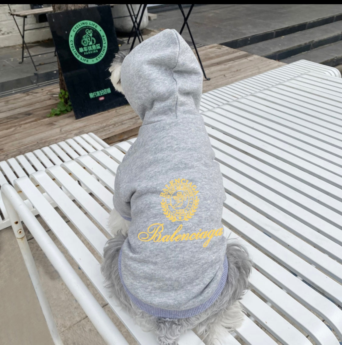 B Boy Hoodie