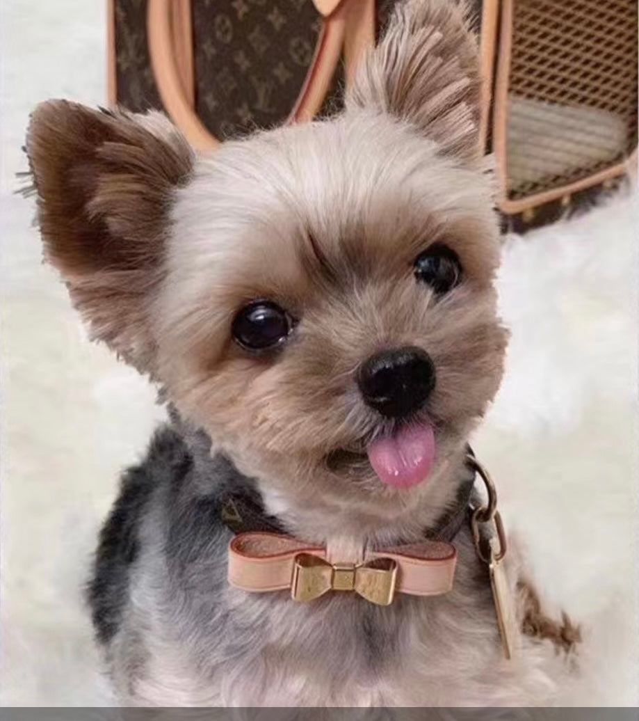 Lux Bow Tie Collar/Leash Set