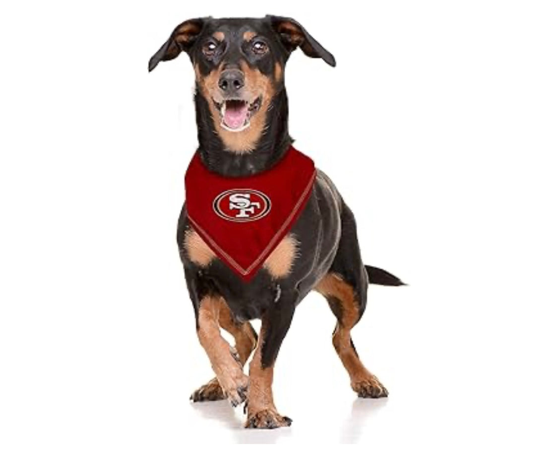 Football FurNatics