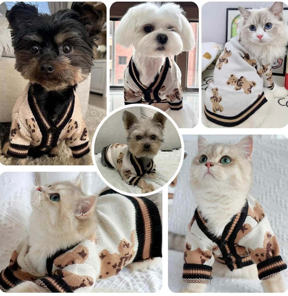 Beary Cute Cardigan