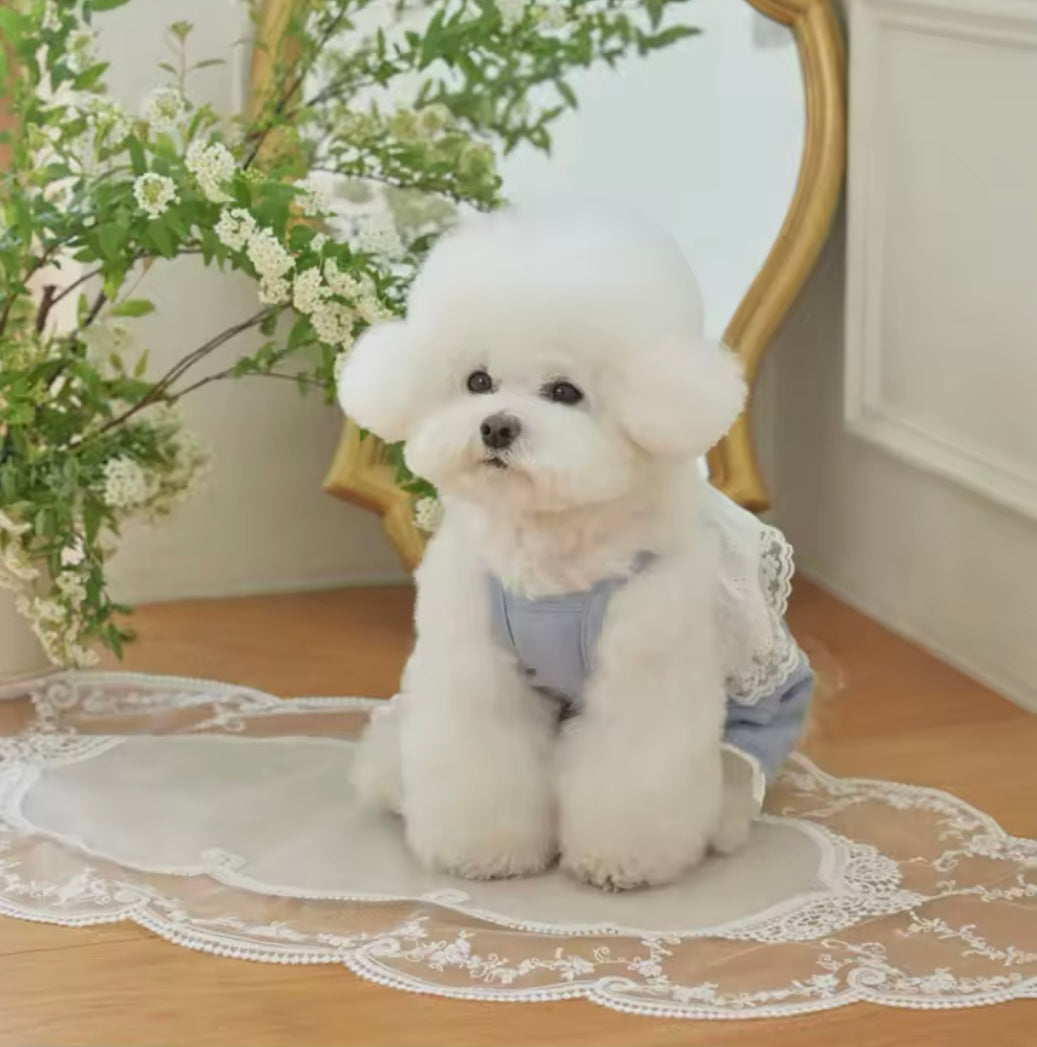 Lacey