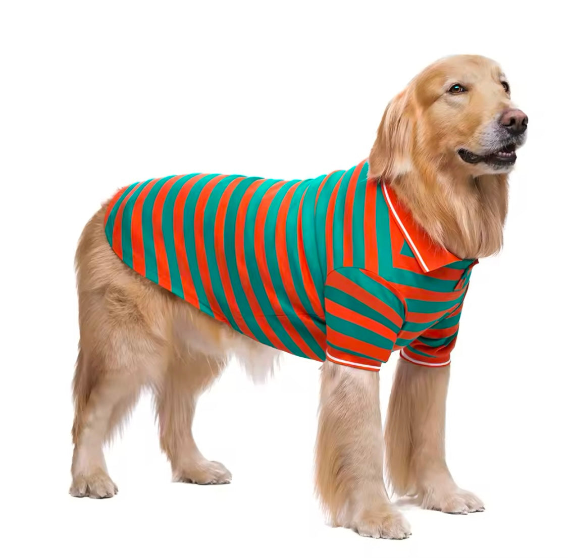 No Stars, Just Stripes