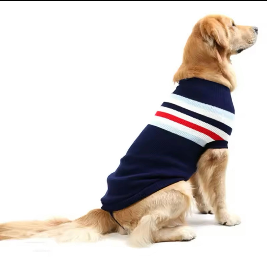 I’m A Star With Stripes!!