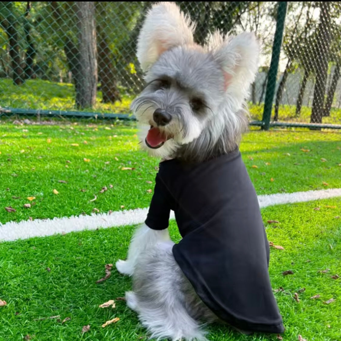 Barkberry Polo