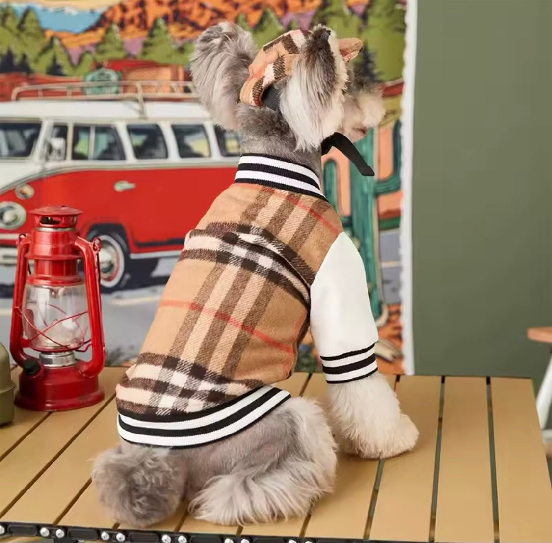 Barkberry Letterman Jacket