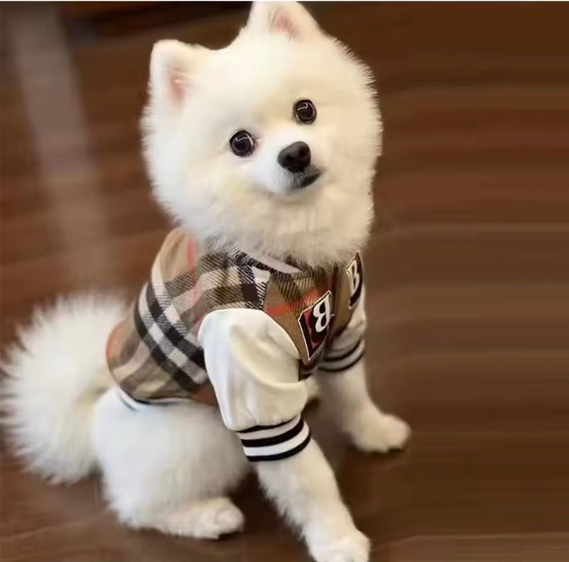 Barkberry Letterman Jacket