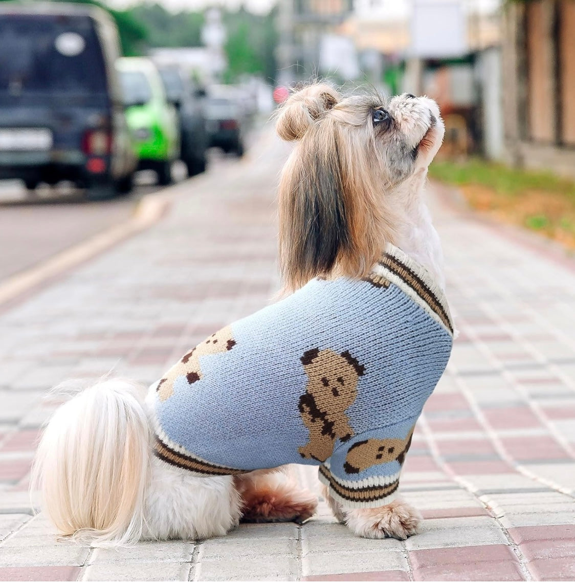 Beary Cute Cardigan