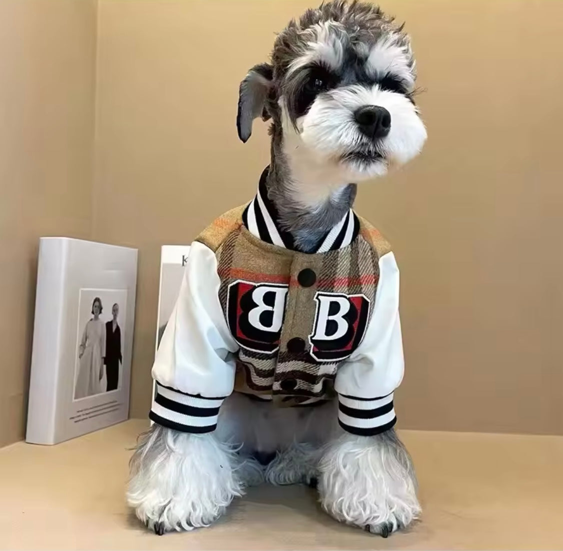 Barkberry Letterman Jacket