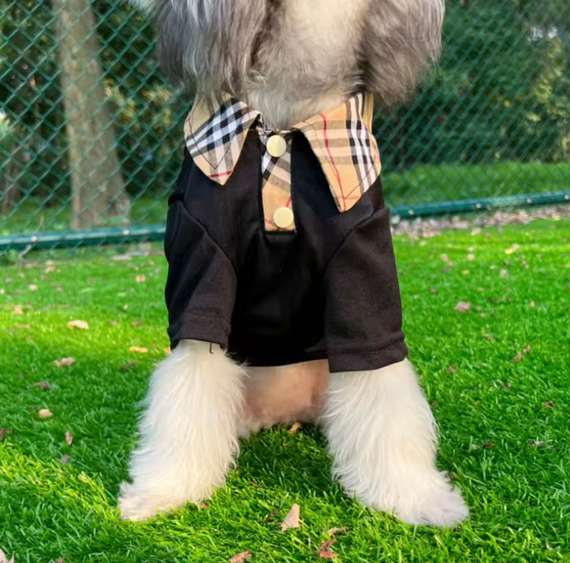 Barkberry Polo