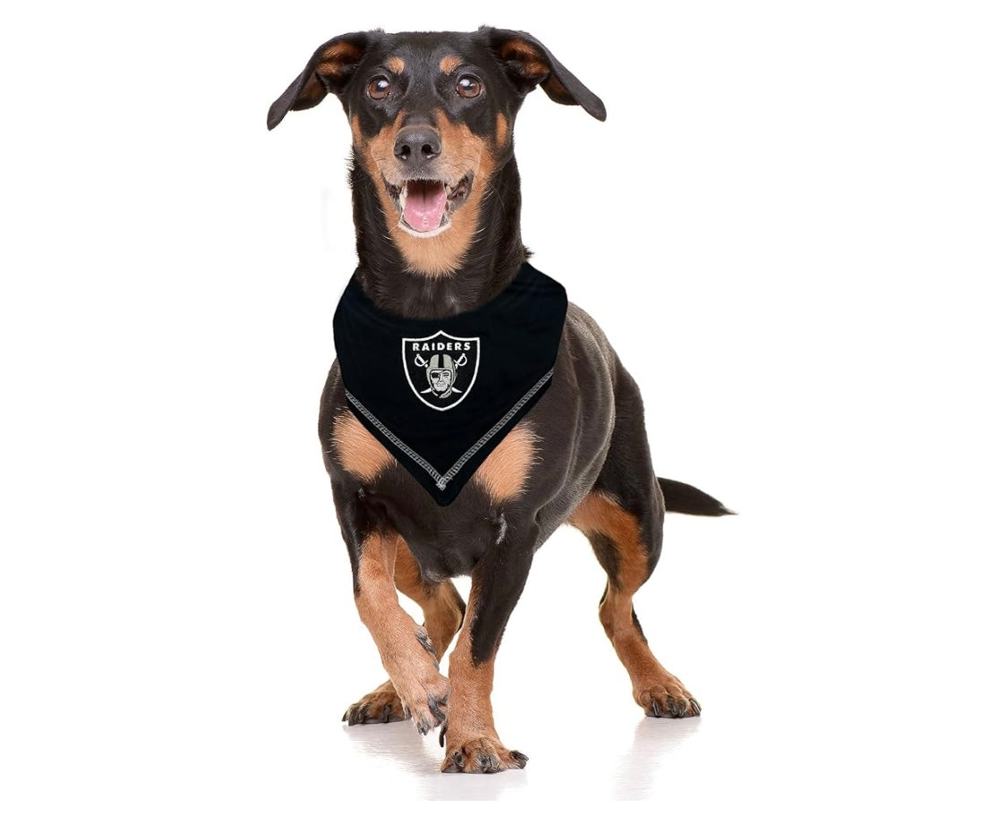 Football FurNatics