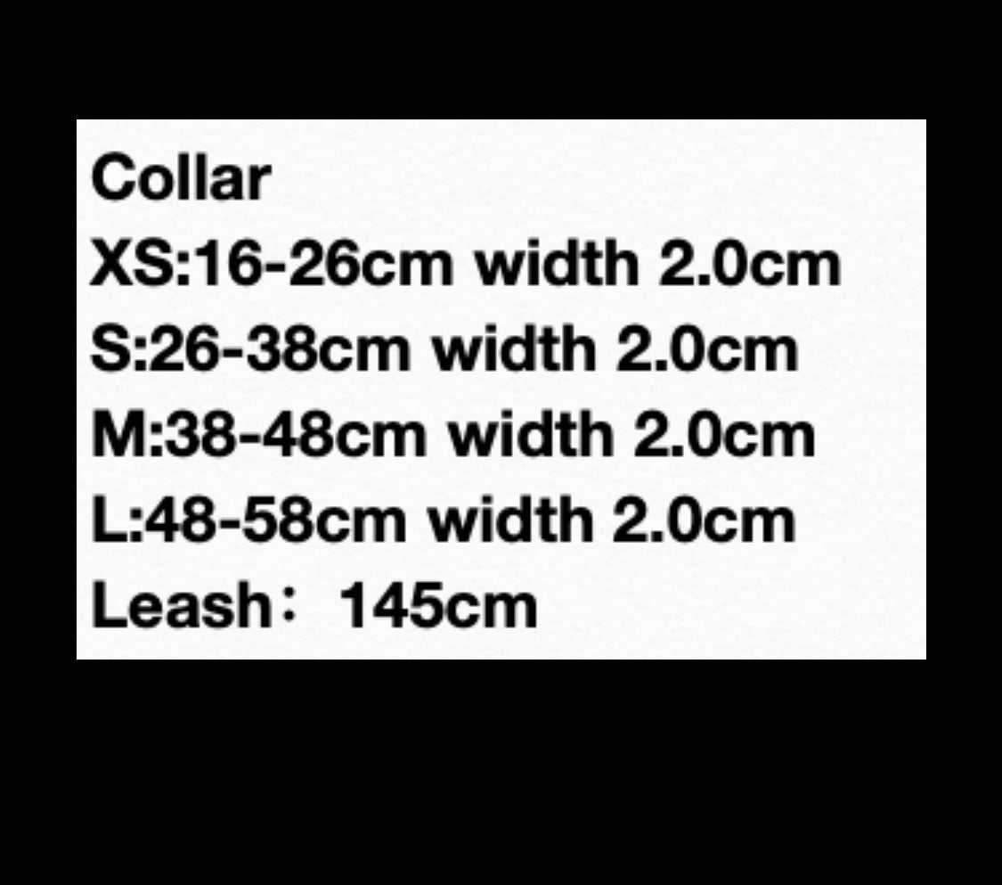 Lux Bow Tie Collar/Leash Set