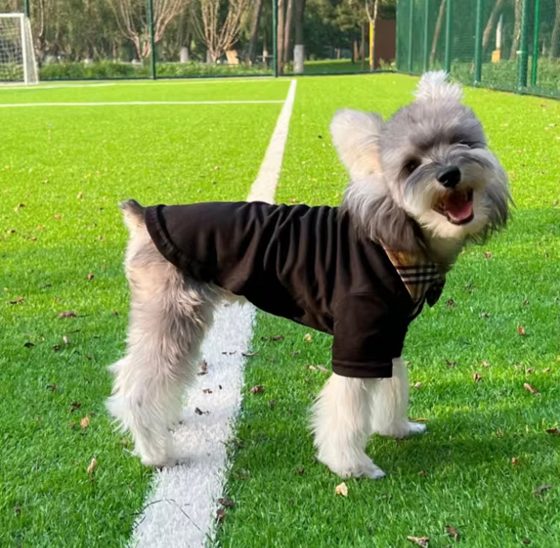 Barkberry Polo