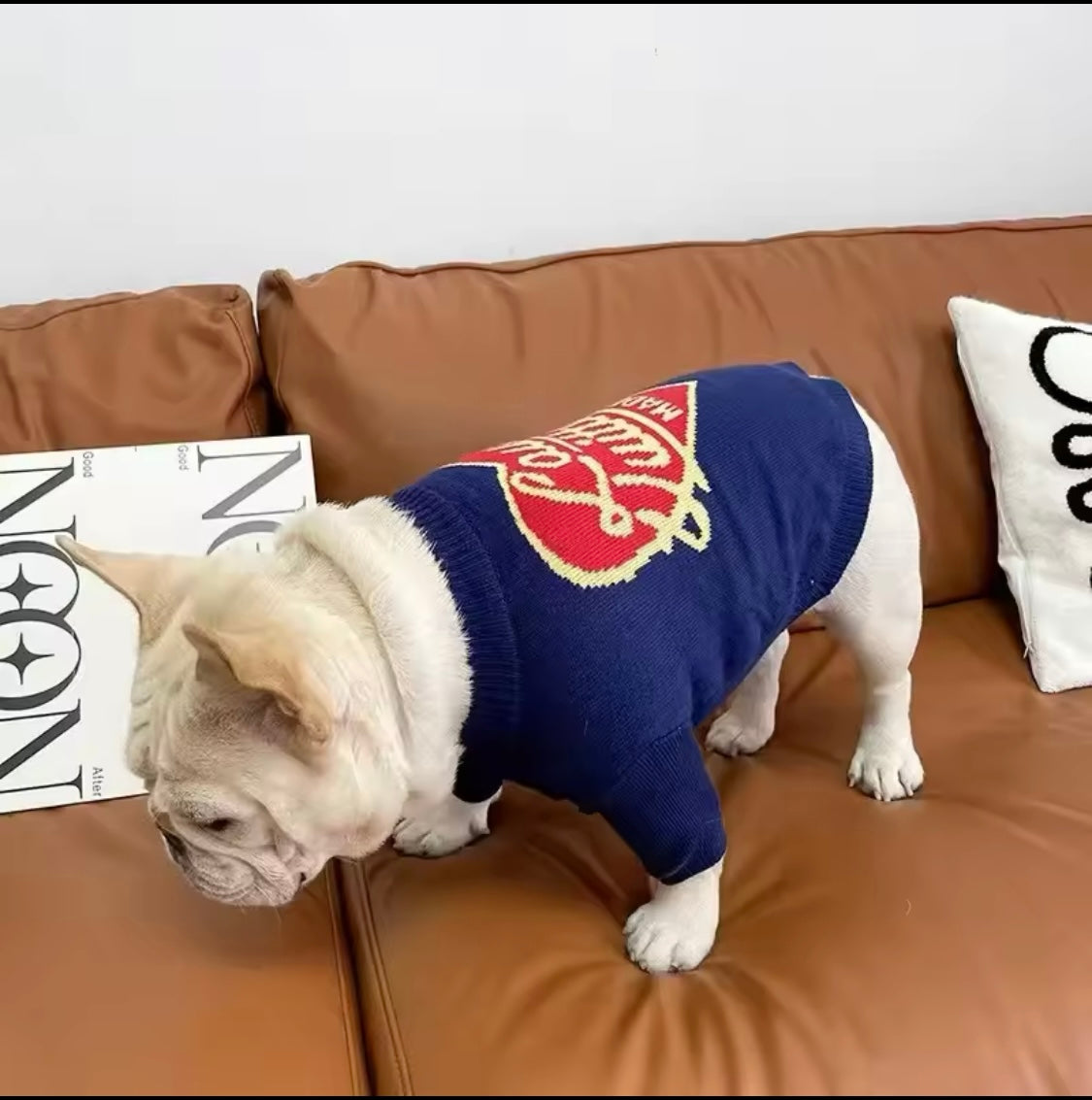 Big Louie