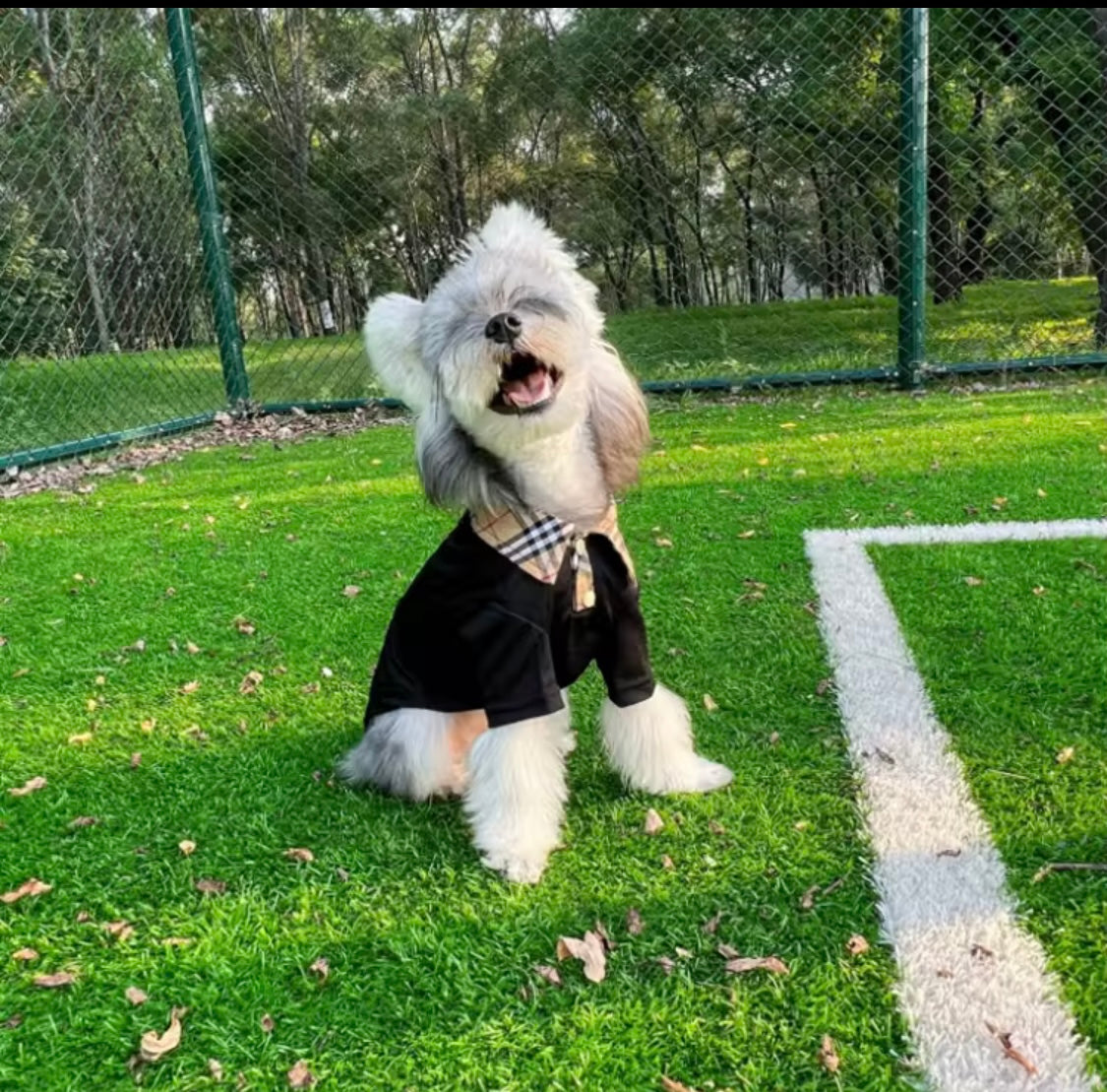 Barkberry Polo