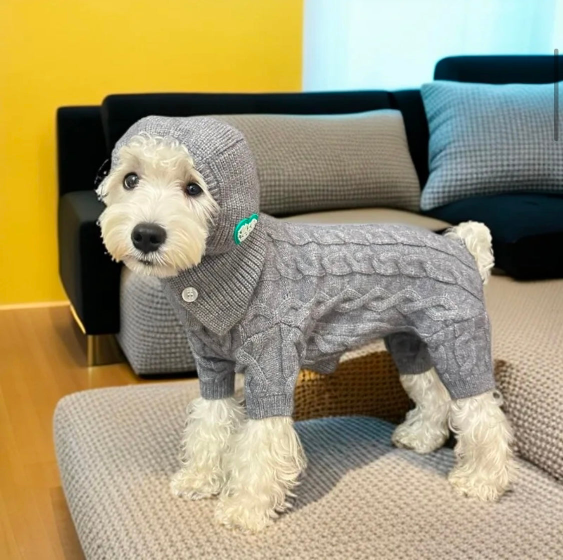 Classy & A Lilā Hood