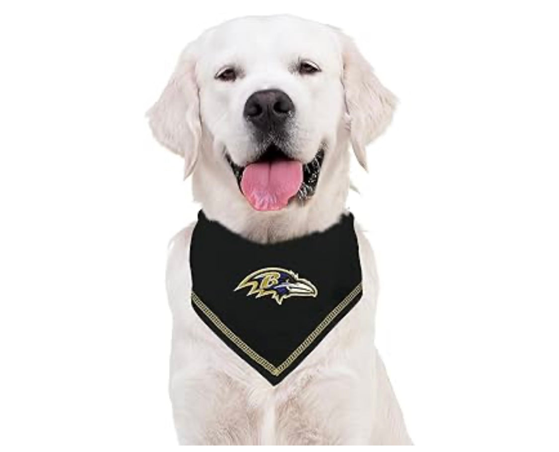 Football FurNatics