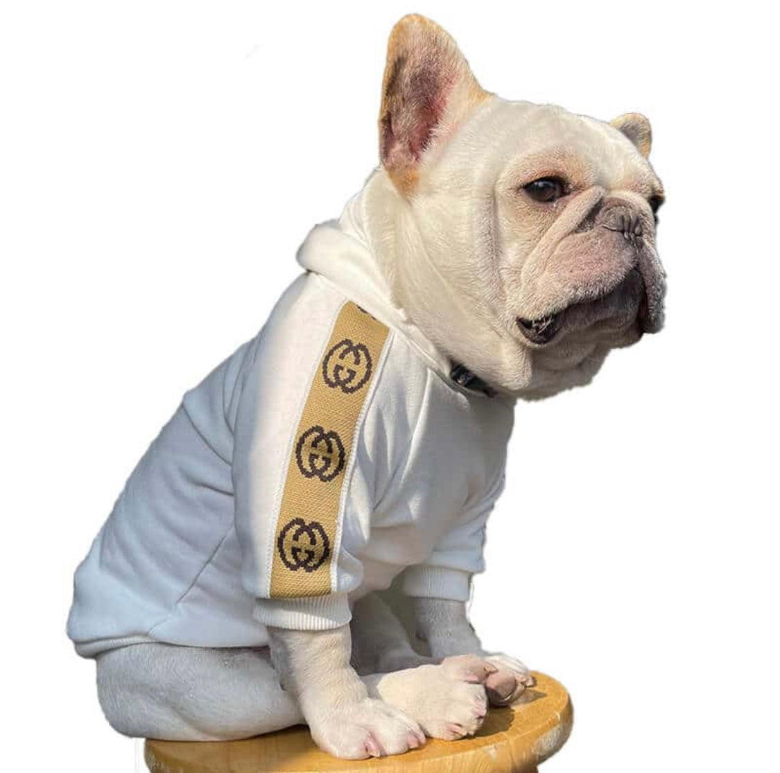 Pucci Hoodie