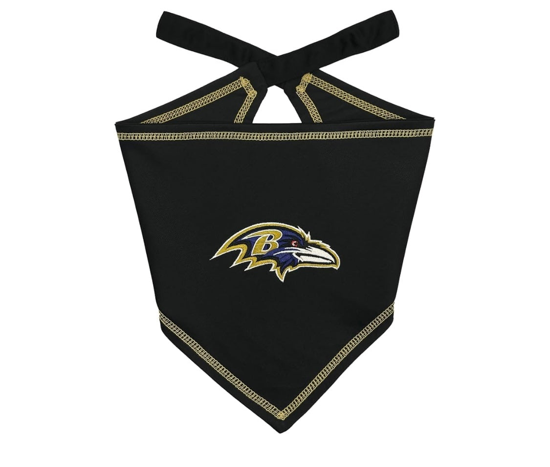 Football FurNatics