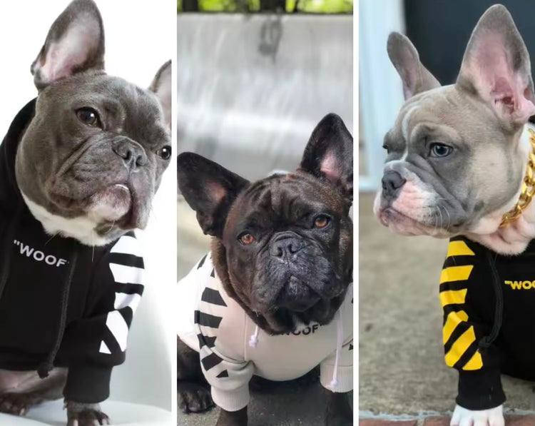 *Where My Big Dawgs At?