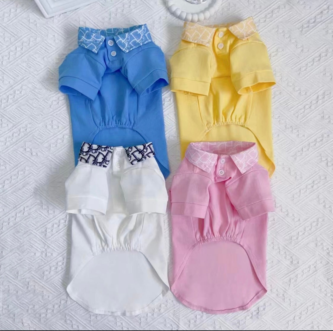 Pawdior Colour