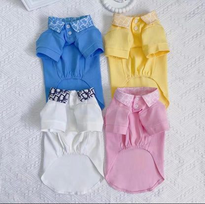 Pawdior Colour