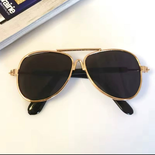 The Aviator