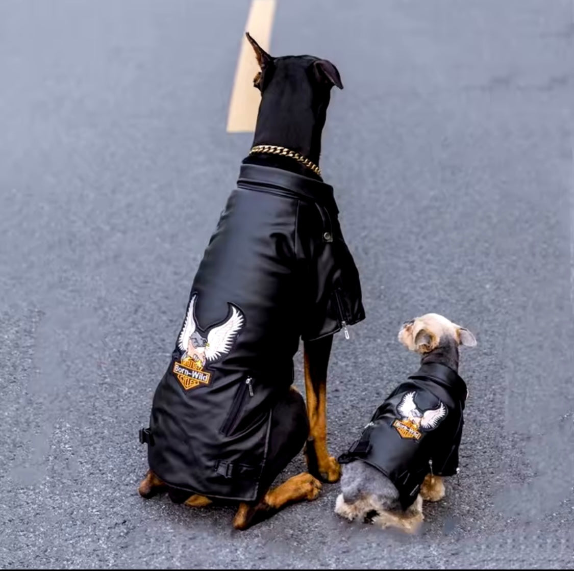 Big Boy Ruff Rider Moto